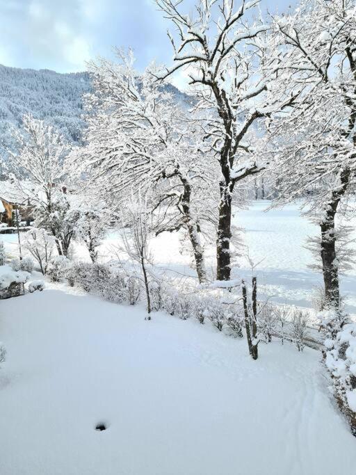 Appartement Le D12 Samoëns Buitenkant foto