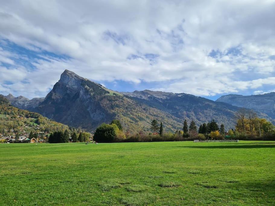 Appartement Le D12 Samoëns Buitenkant foto